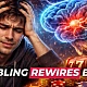 2026 Study: How Gaming Addiction Physically Rewires Brain Structure and Chemistry