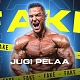Jugi Pelaa Decoded: Vauhdikas Deal, Documented Wins, Red Flags, and the Real-Money Verdict (2026)