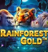 Rainforest Gold