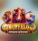 Buffalo Stack ‘n’ Sync