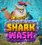 Shark Wash
