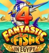 4 Fantastic Fish in Egypt
