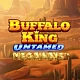 Buffalo King Untamed Megaways