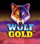 Wolf Gold