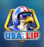 USA Flip