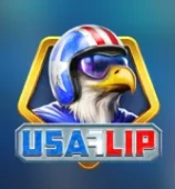 USA Flip