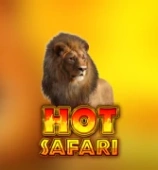 Hot Safari
