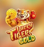 Lucky Tiger Gold