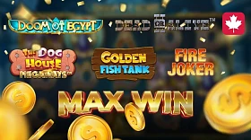 Maximum Wins in Popular Slots. Issue #11