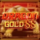 Dragon Gold 88