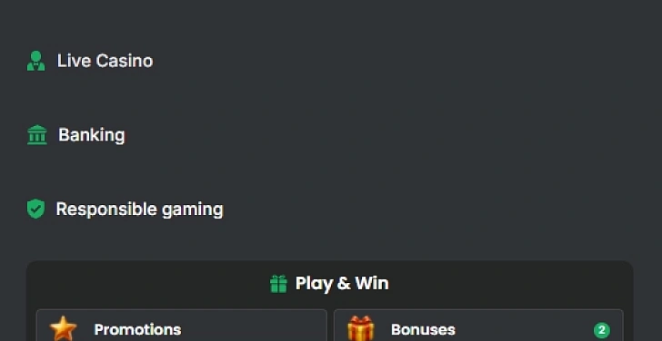 Screenshot 20Bet