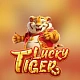 Lucky Tiger
