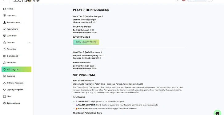 Screenshot 20Bet