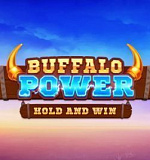 Buffalo Hold and Win