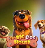 The Big Dog House