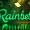 Rainbet storms the market: $150 million for Adin Ross and rumors of a connection with Stake