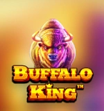 The Buffalo King