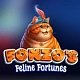 Fonzo’s Feline Fortunes