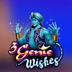 3 Genie Wishes