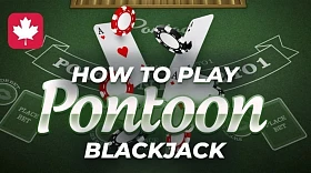 Pontoon blackjack guide