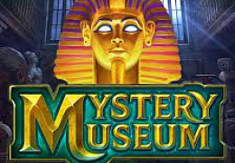 Mystery Museum