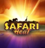 Safari
