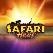 Safari