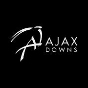 Ajax Downs Casino & Racetrack