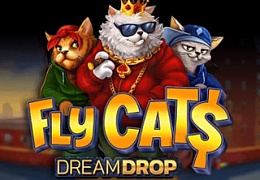 Fly Cats Dream Drop