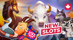 Review of new slots released this week 08/23/23 – 08/31/23