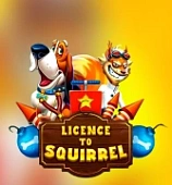 Licence to Squirrel