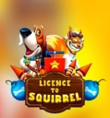 Licence to Squirrel