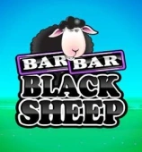 Bar Bar Black Sheep