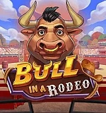 Bull in a Rodeo