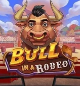 Bull in a Rodeo