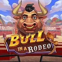 Bull in a Rodeo