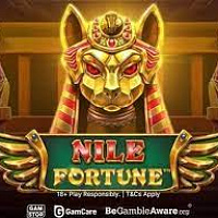 Nile Fortunes