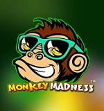 Monkey Madness