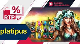 How to check RTP in Platipus slots
