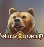 Wild North