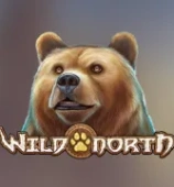 Wild North