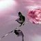 raffel