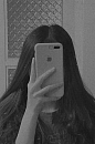stephanianooh