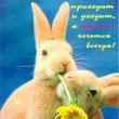 Plagus