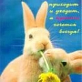 Plagus