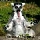 GlennRhee