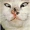 Wiffer