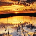 Esterta
