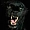 lynnita