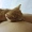 Kitaaa